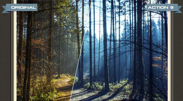 Nature Photoshop Actions - Bundle