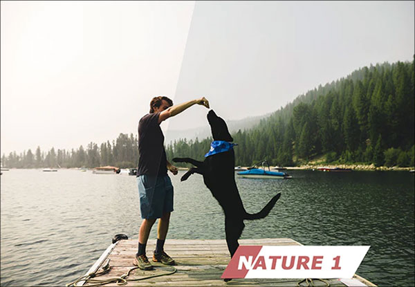 Nature Photoshop Actions