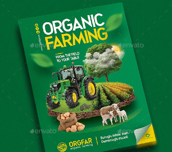 Organic Food Farming Flyer Templates