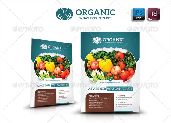 Organic Food PSD Flyer Template
