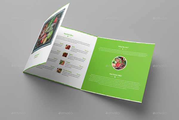 Organic Food Tri-Fold Square Brochure