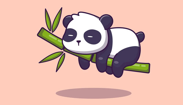 Panda Bear Logo Templates