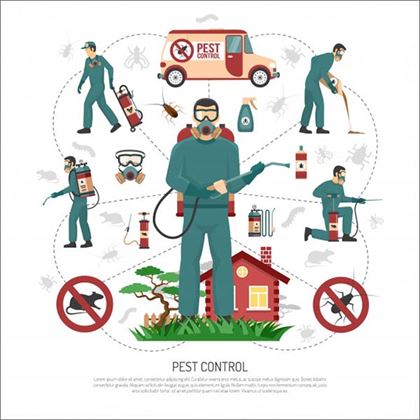 Pest Control Services Flat Infographic Poster Free Vector