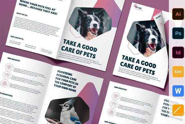 Pet Grooming Care Brochure Bifold