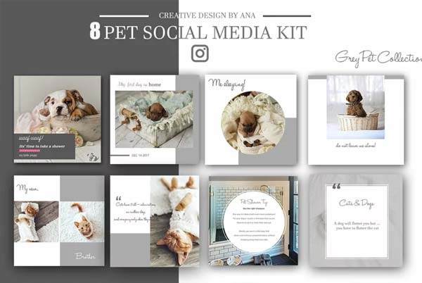 Pet Social Media Kit Template