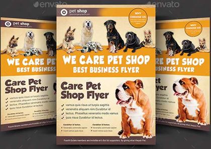 Pet Care Flyer