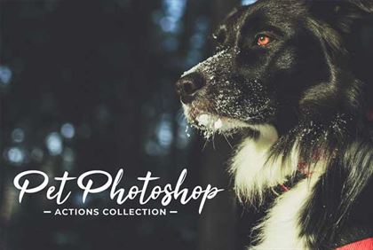 Pet Photoshop Actions Collection