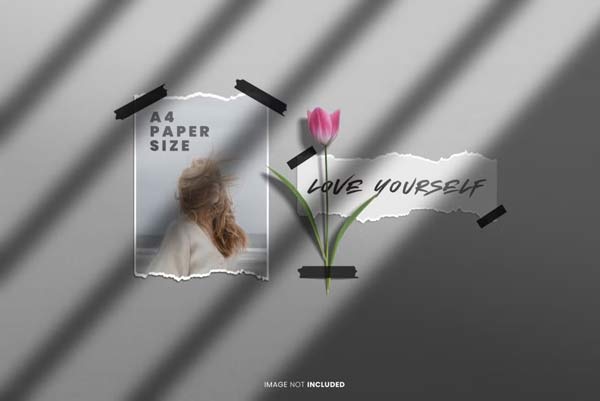 Photo Realistic Mockup PSD