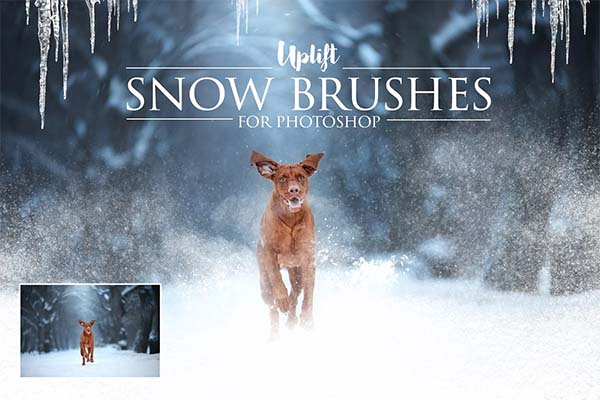 Photoshop Snow Brushes