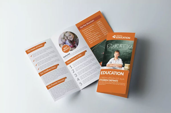 Print Kids Education Trifold Brochures