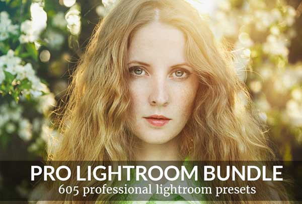 Pro Lightroom Desktop Presets Bundle