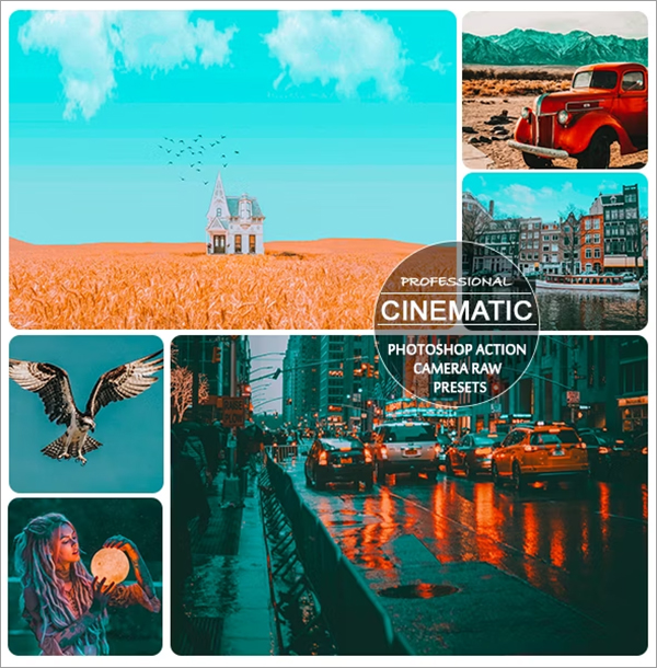 Professional Cinematic Action