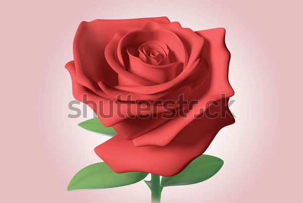 Red Rose Isolated Model 3D