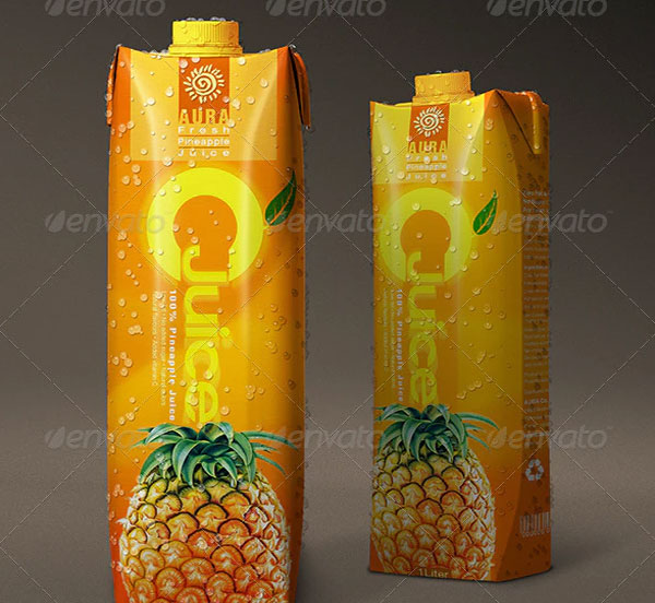 Sample Carton Packaging Mockup