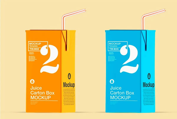 Sample Juice Carton Box with Straw Mockup