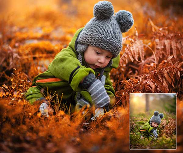 Selective Autumn Mood Effect Photoshop Action