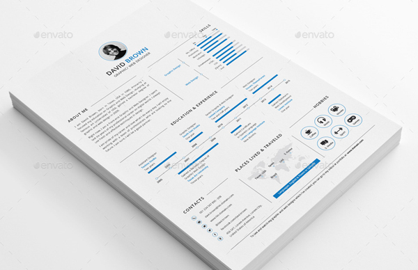 Simple Infographic Resume Design