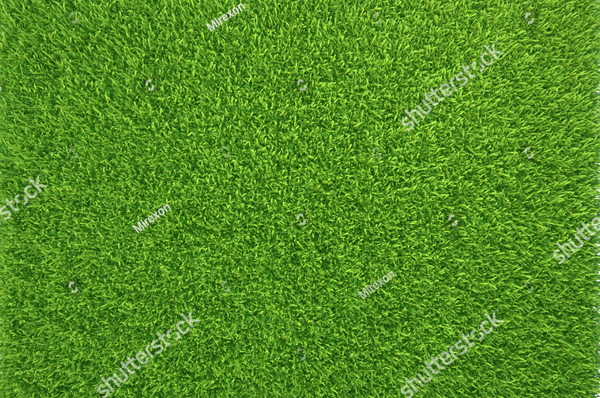 Spring Green Grass Pattern