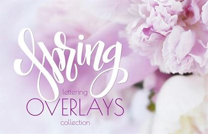 Spring Lettering Overlays Collection