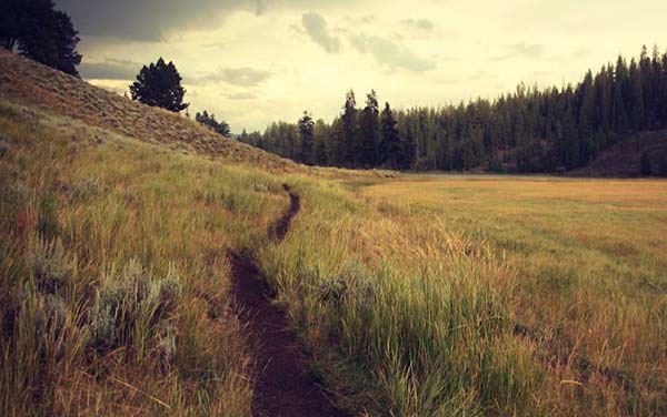 Summer Photoshop Actions