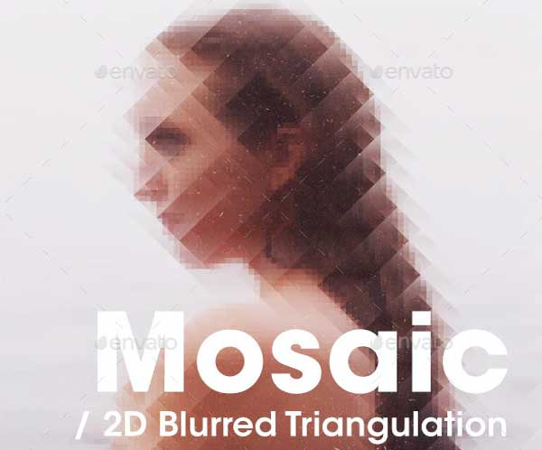 Triangulation Mosaic Bundle Actions