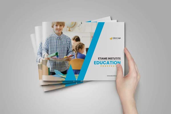 Vector College Brochure Content Design