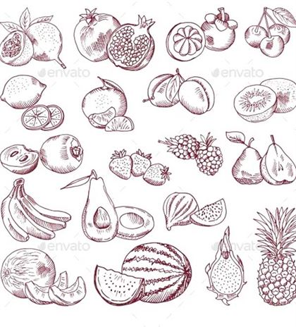 Vector Sketch Fruits Package Designs