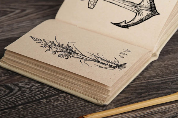 Vintage Sketchbook Mockups