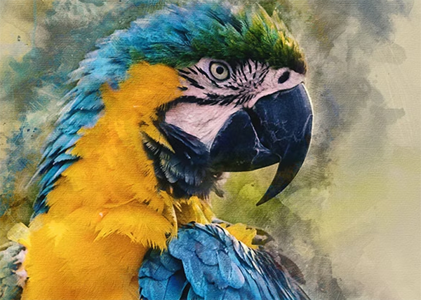Watercolor Photoshop Action Template