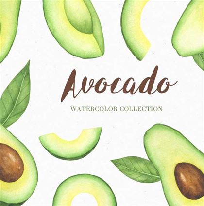 Watercolor Avocado Fruit Designs