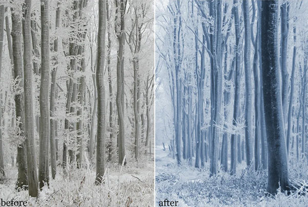 Winter Dream Photoshop Action Pack