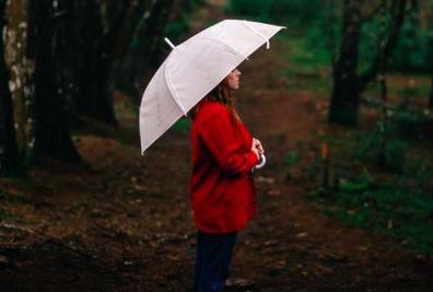 Free Umbrella Mockups