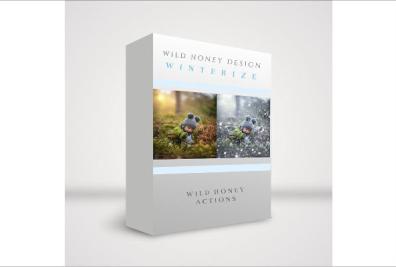 Winter Photoshop Actions