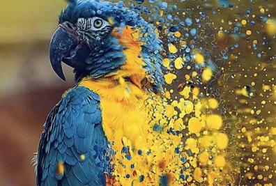 Editable Dispersion Photoshop Brushes