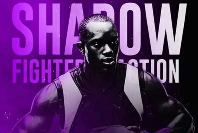 Realistic Shadow Photoshop Actions