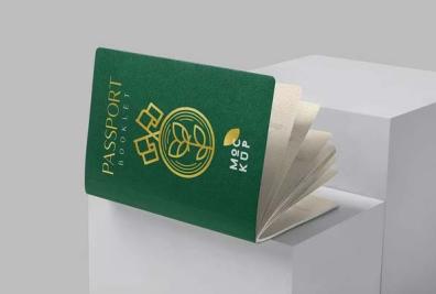 Passport Mockups