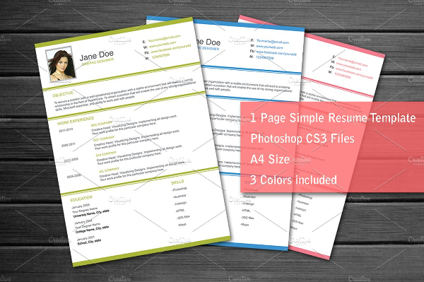 Simple Single Page Resume Template