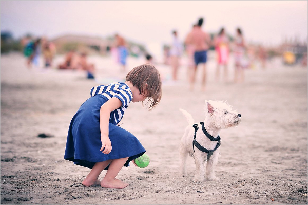 Toning Cool Photoshop Actions