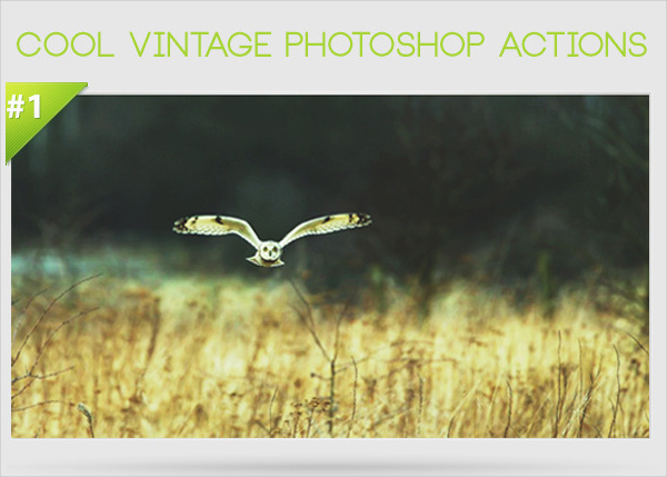 Cool Design Photoshop Actions