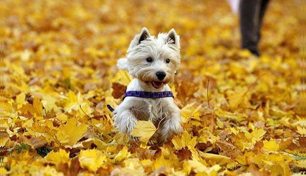 Cool four Season Photoshop Actions