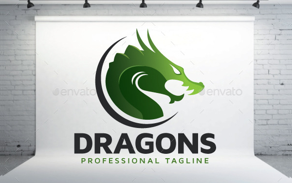Professional Dragons Logo Template