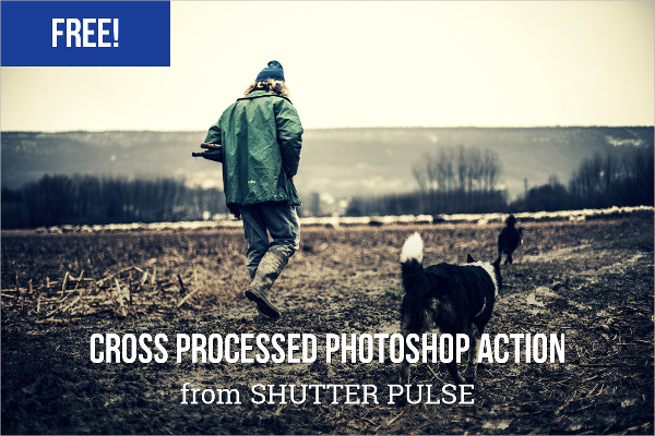 Free Cross Processed Photoshop Action