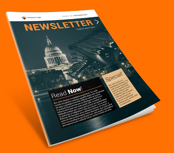 Modern Newsletter Template