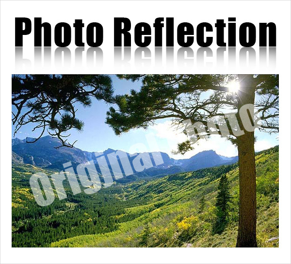 Photo Reflection Actions