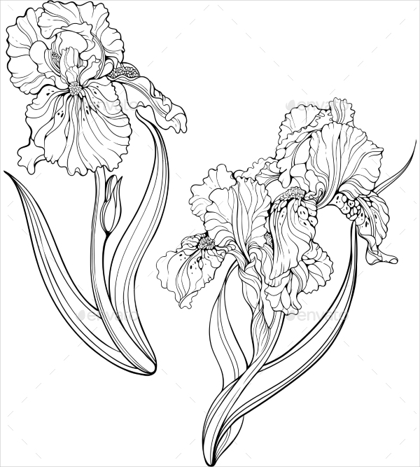 Download 22+ Flower Coloring Pages - Free & Premium Download
