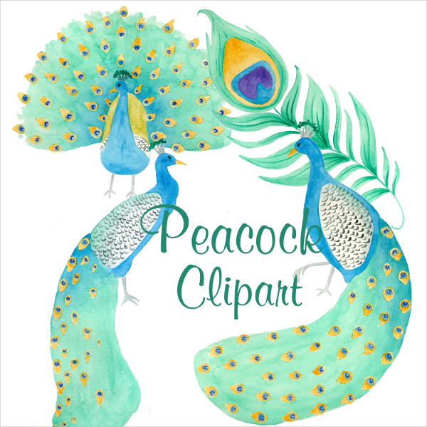 Peacock Clipart With Pattern