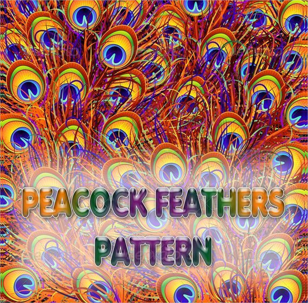 Peacock Feathers Colorful Pattern