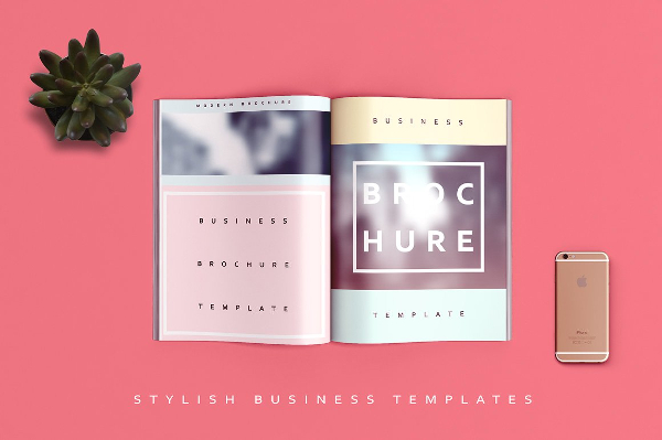 Website Design Business Brochures Bundle