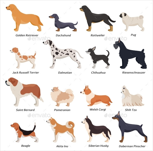 Colored Profile Dogs Icon Set