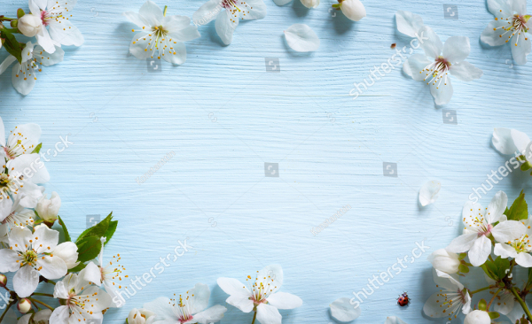 Flower Spring Background